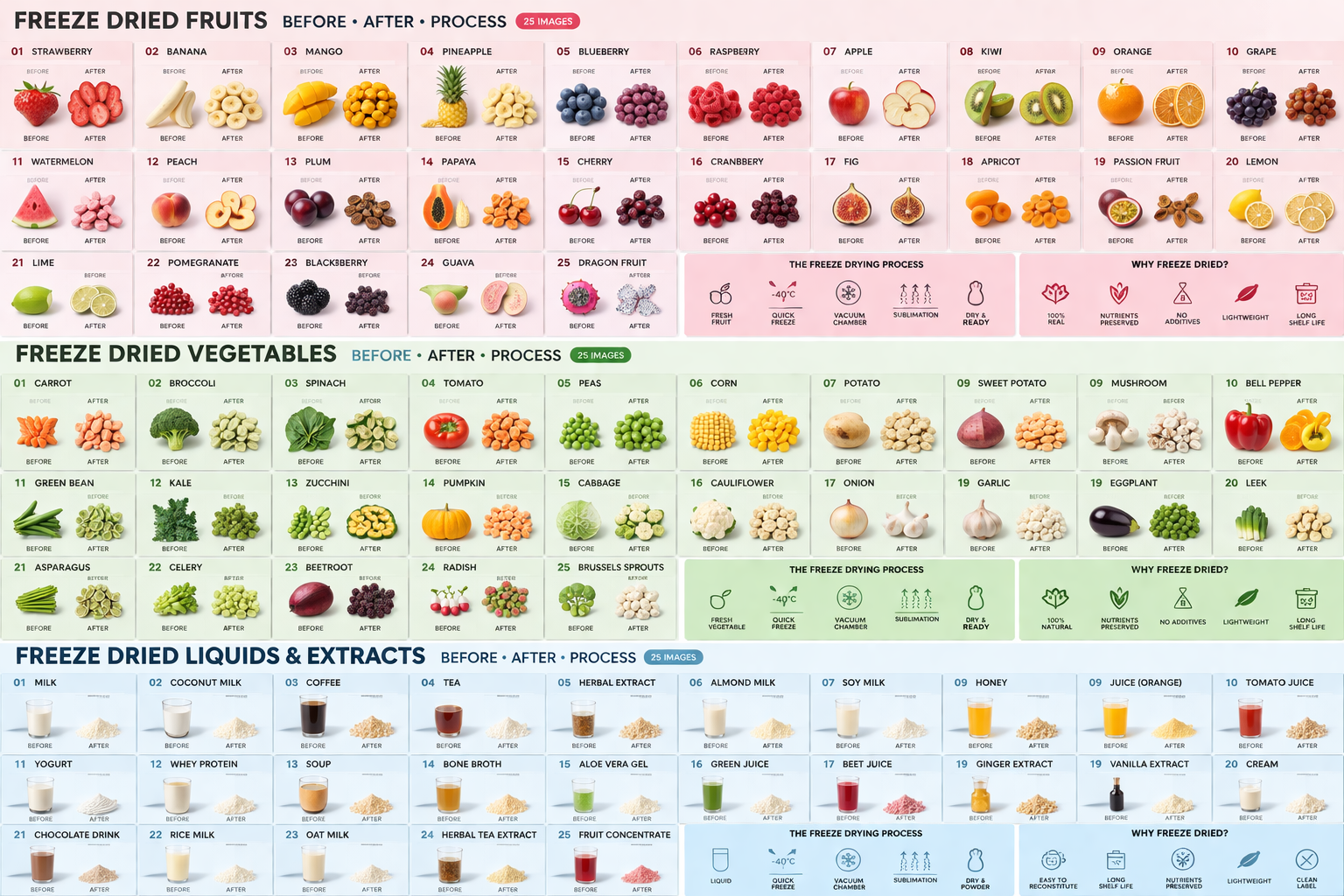 Daftar lengkap bahan freeze dry: 30+ buah, 25+ sayuran, 20+ liquid